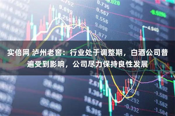 实倍网 泸州老窖：行业处于调整期，白酒公司普遍受到影响，公司尽力保持良性发展