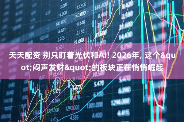 天天配资 别只盯着光伏和AI! 2026年, 这个"闷声发财"的板块正在悄悄崛起