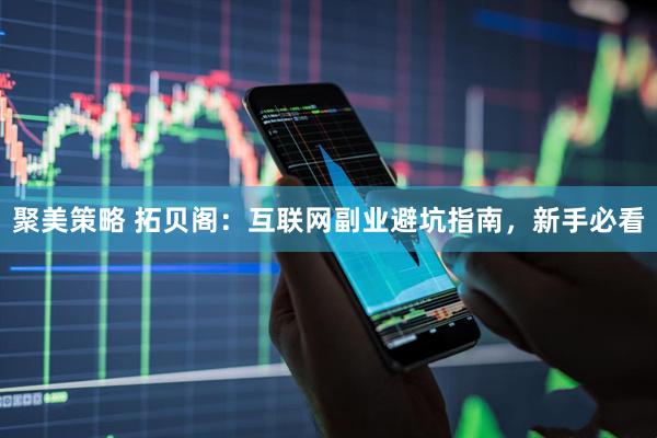聚美策略 拓贝阁：互联网副业避坑指南，新手必看